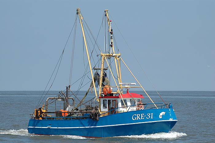 GRE 31 - Charlene Ann