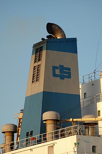 China Shipping Company